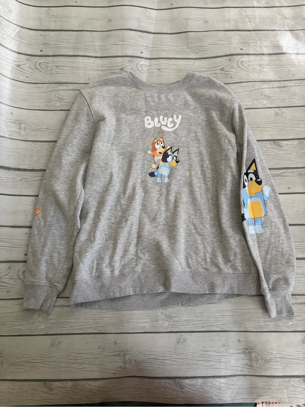 Bluey Graphic Grey Crewneck Sweatshirt - Unbranded
